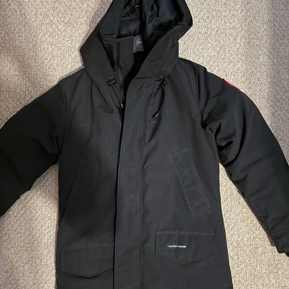 Canada goose
